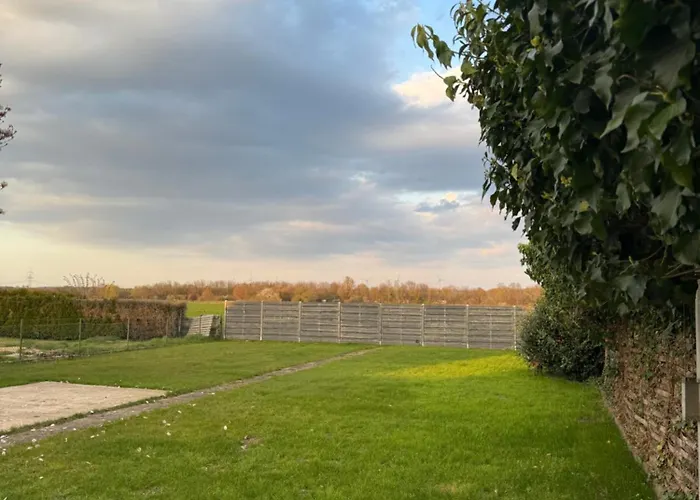 Comfy House 埃尔夫特施塔特